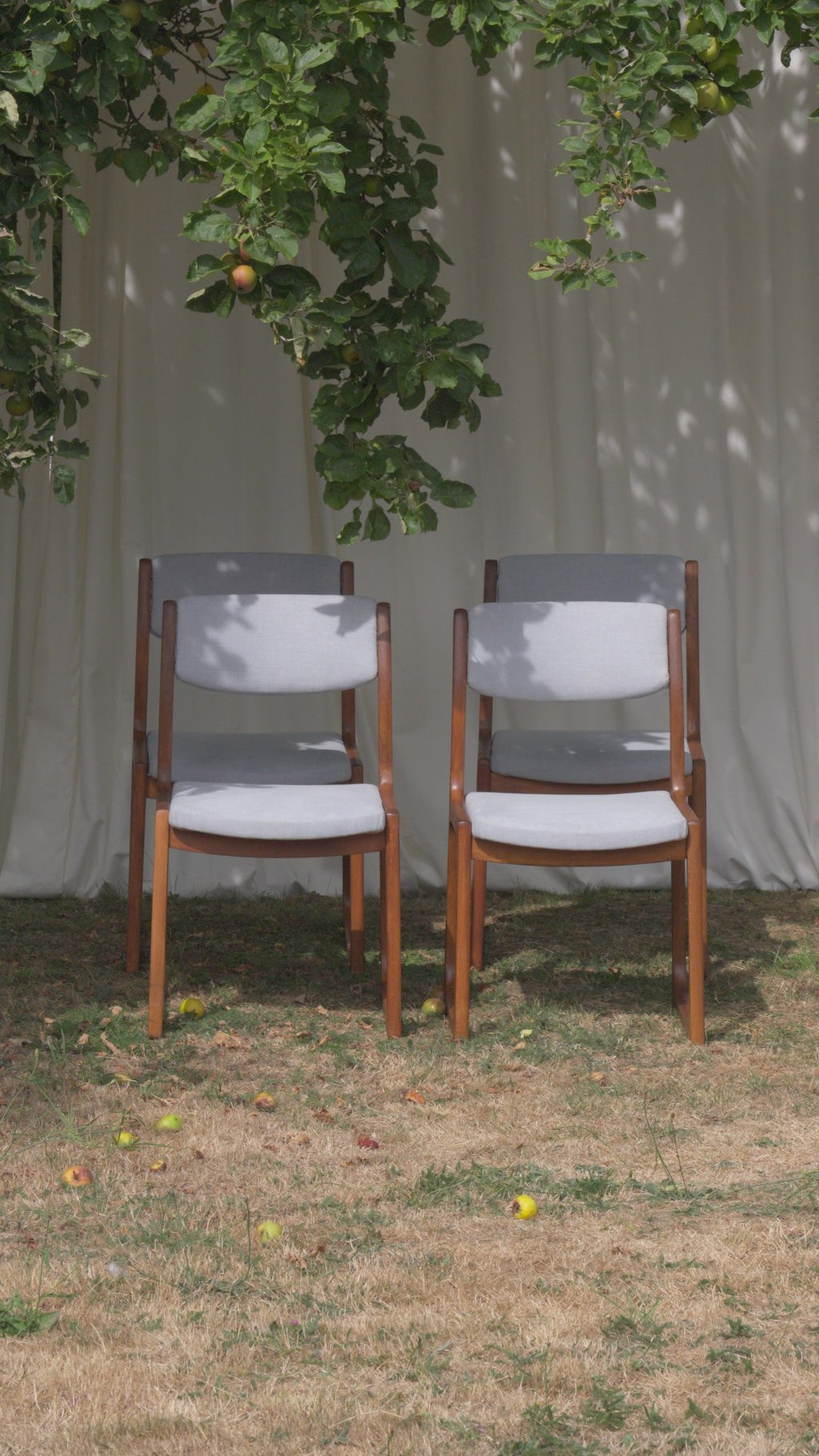 CHAISES TRAÎNEAU DLG BAUMANN 1960'