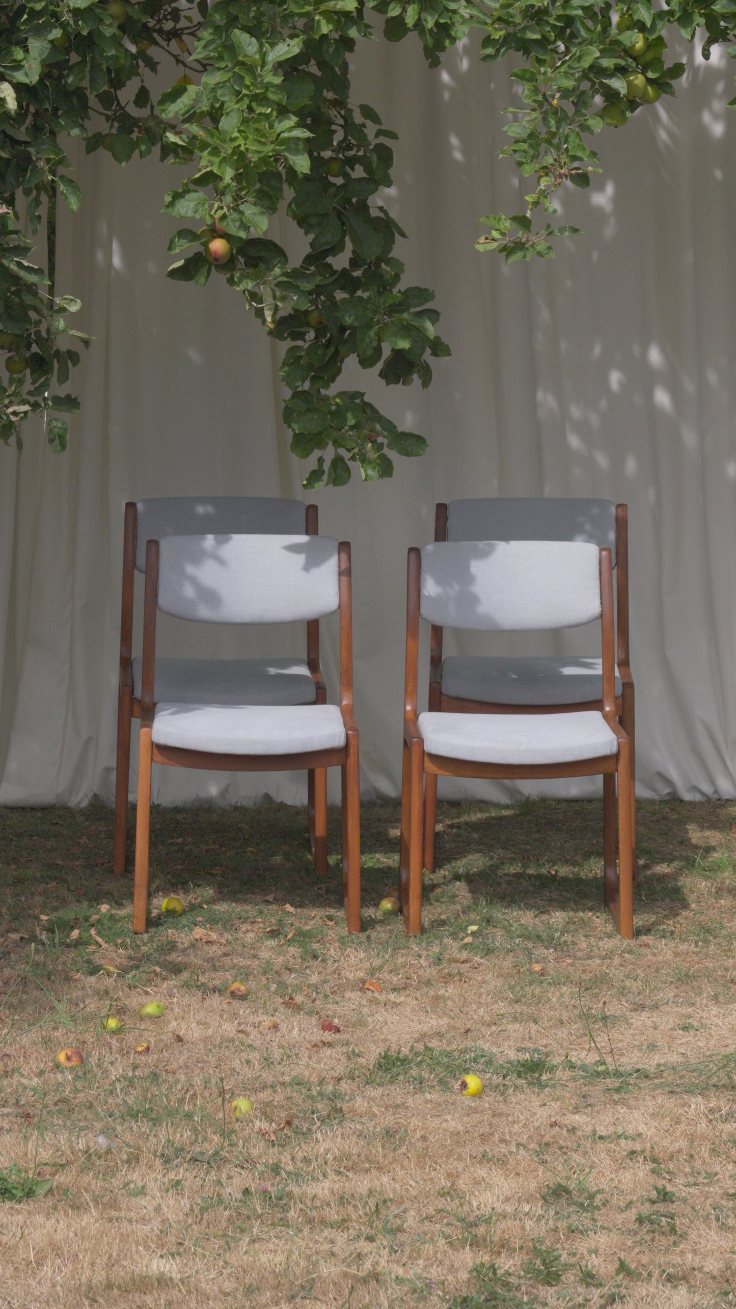 CHAISES TRAÎNEAU VINTAGE ANNÉES 60