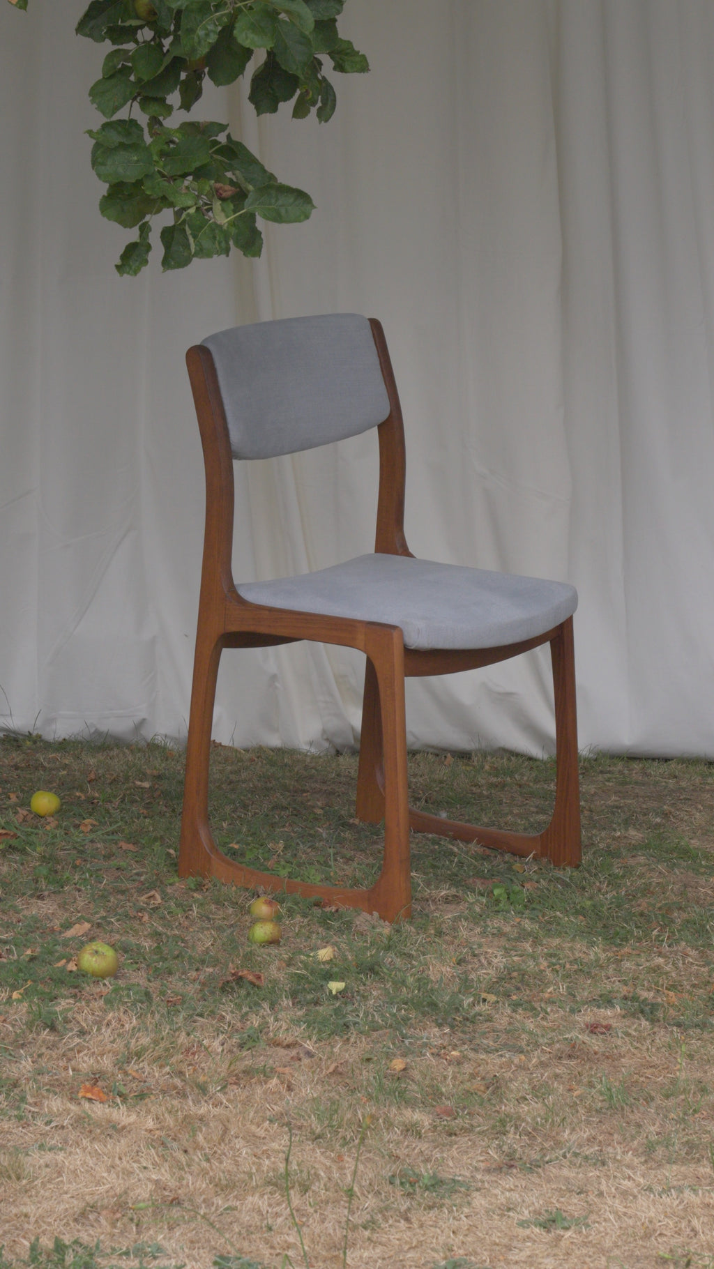 CHAISES TRAÎNEAU DLG BAUMANN 1960'