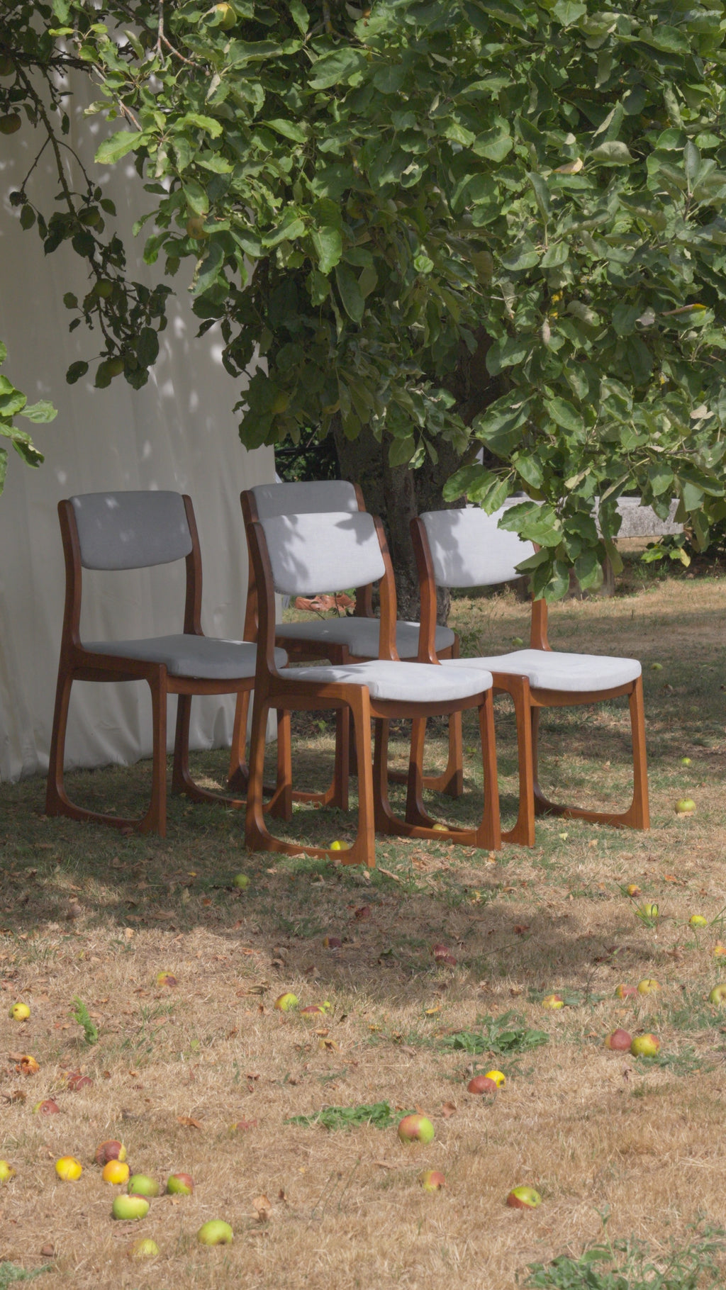 CHAISES TRAÎNEAU DLG BAUMANN 1960'