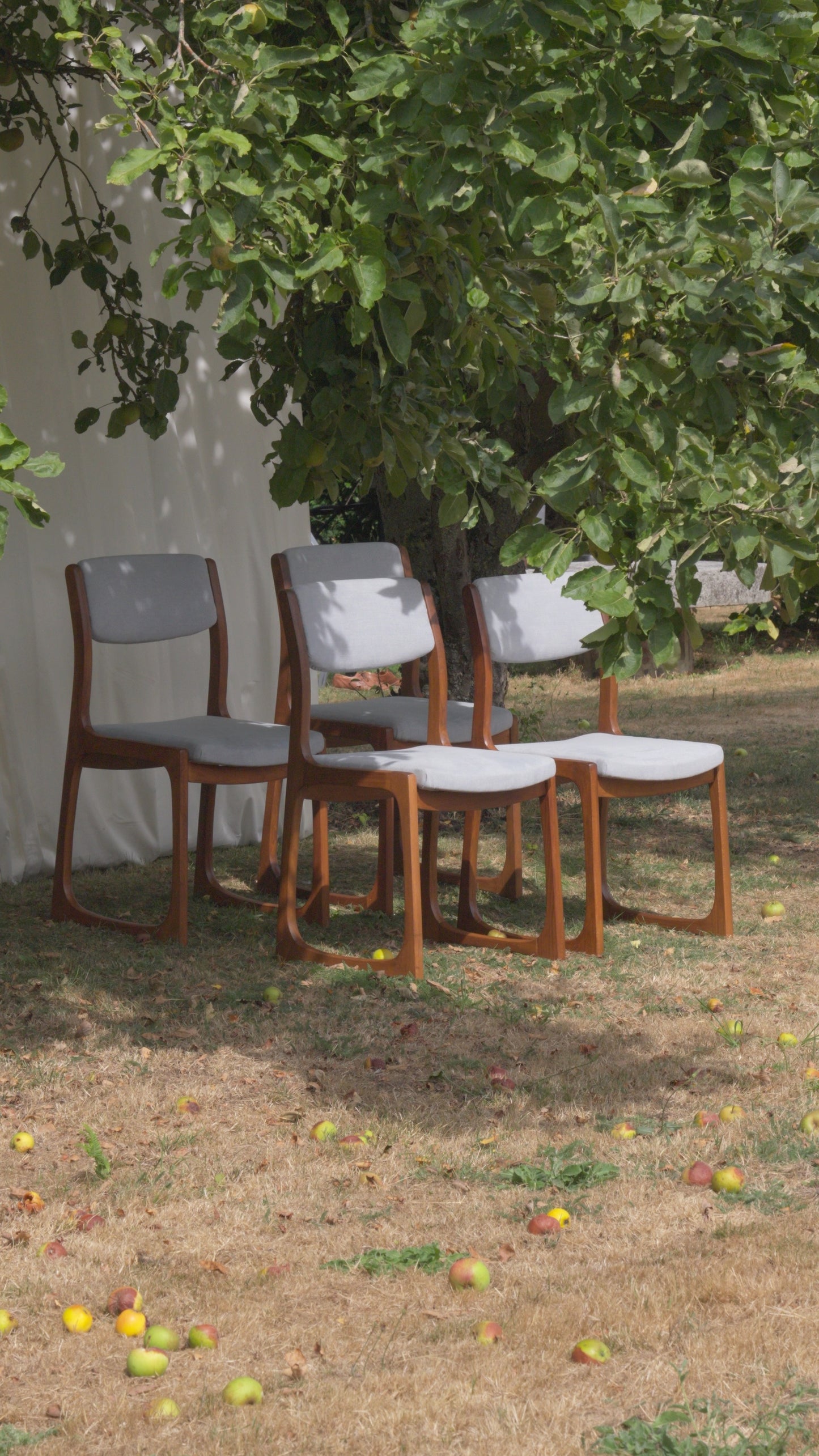 CHAISES TRAÎNEAU VINTAGE ANNÉES 60